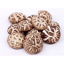 永之选 特选花菇 100g