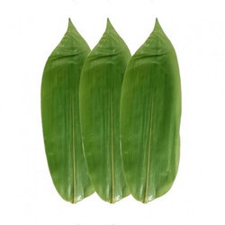 长友 精选新鲜野生大粽叶 216g