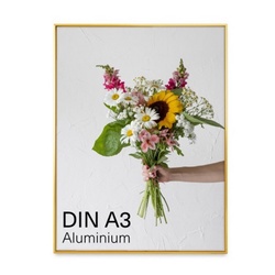 PUCHIKA 铝合金窄边相框 A3尺寸 金色 仅限德国