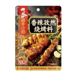 海底捞 香辣孜然烧烤料 40g