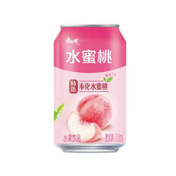 Master Kong Pfirsichgetränk 310ml