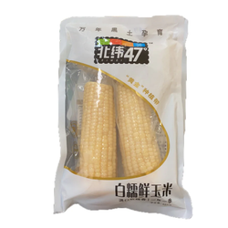 北纬47度 白糯鲜玉米 400g