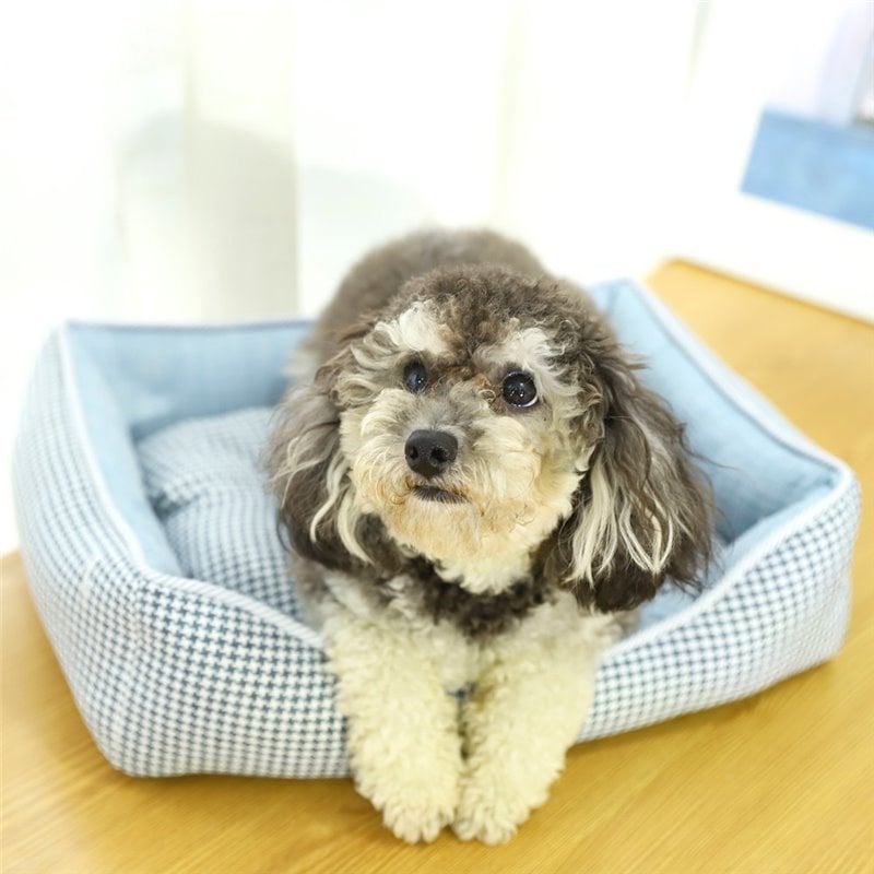 DJY打酱油PUCHIKA 宠物沙发 猫窝狗窝 格纹 中号 单独发货 仅限德国DPD 不包邮